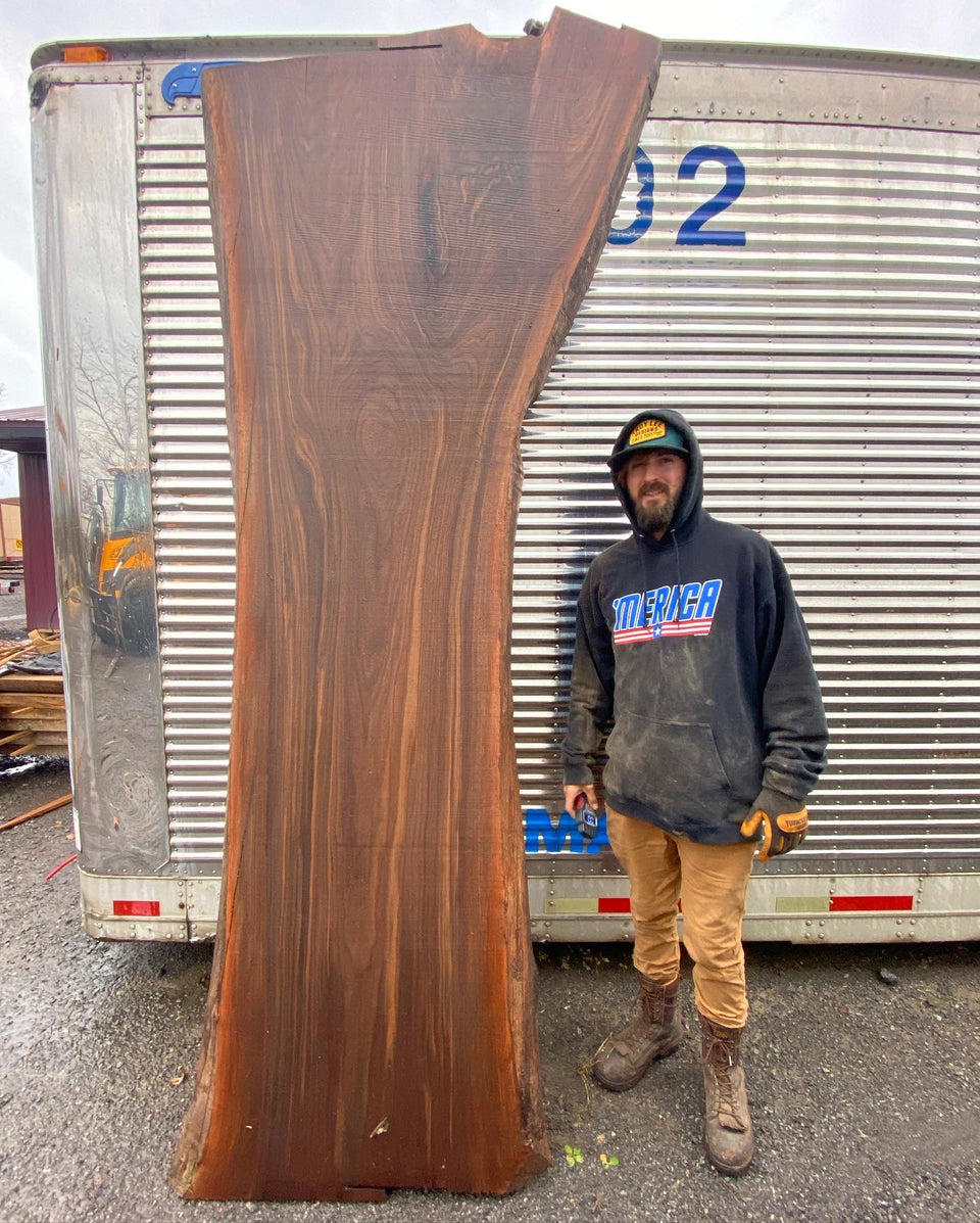 BLACK WALNUT SLAB