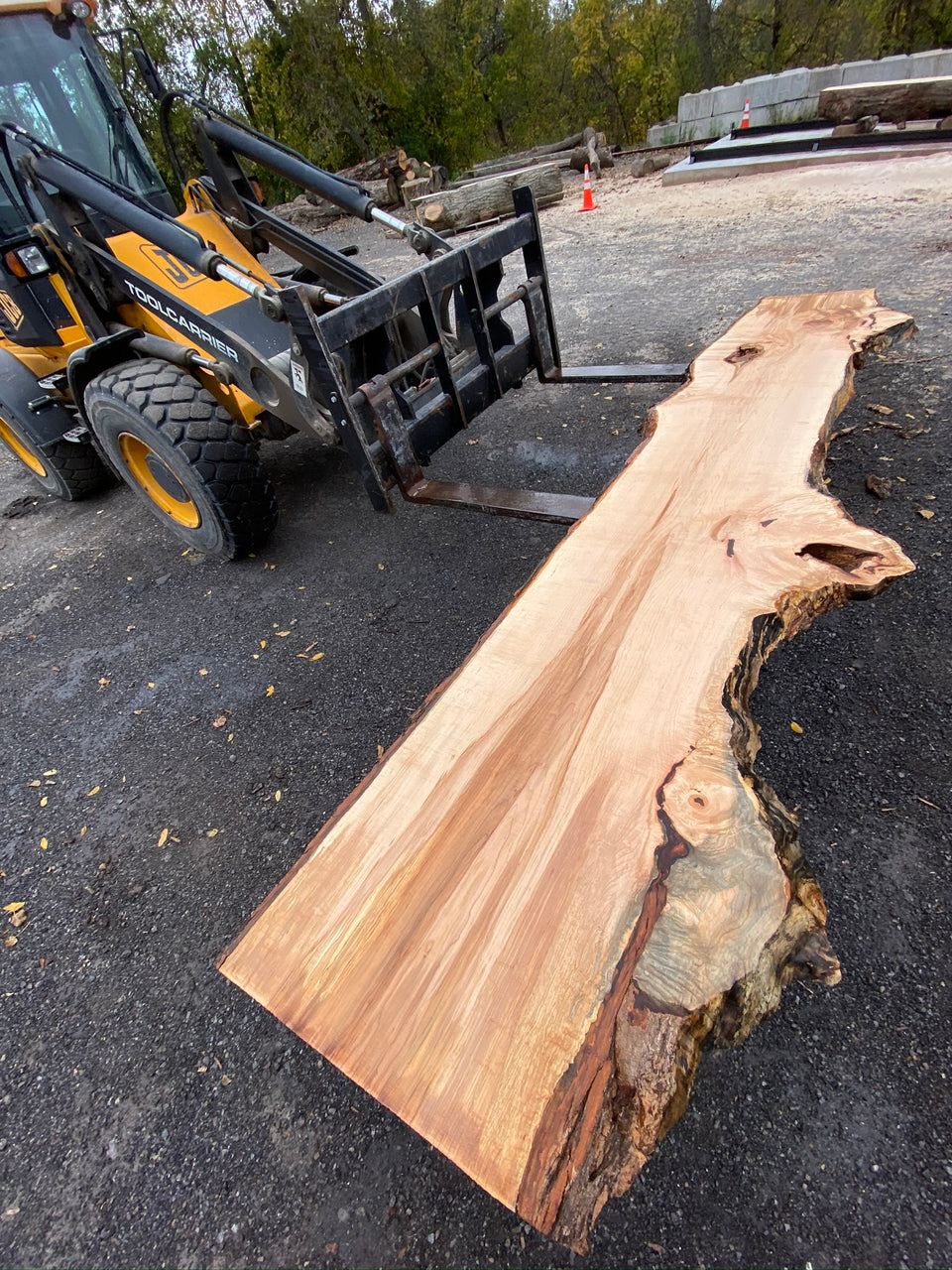 HARD MAPLE