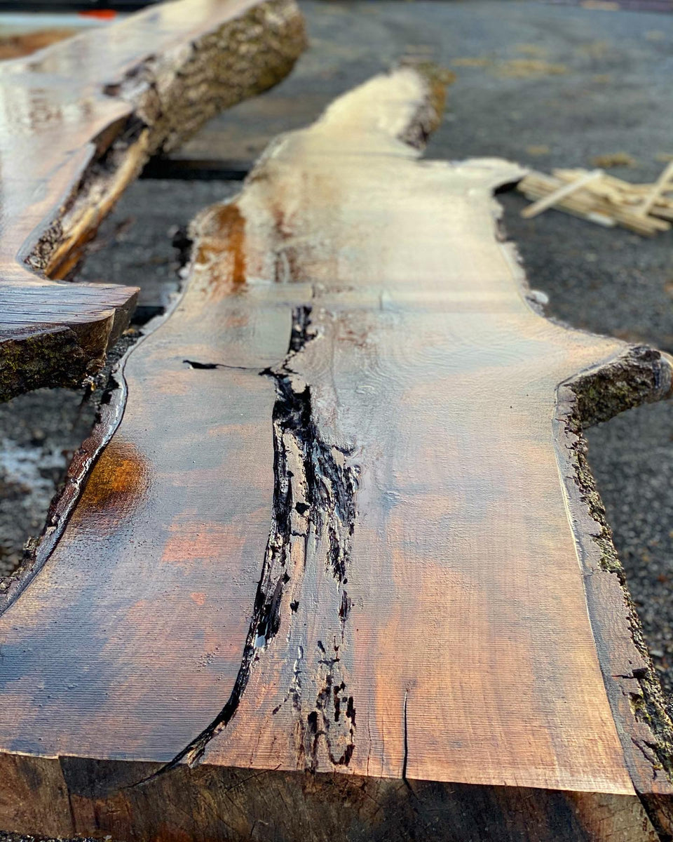 BLACK WALNUT SLAB