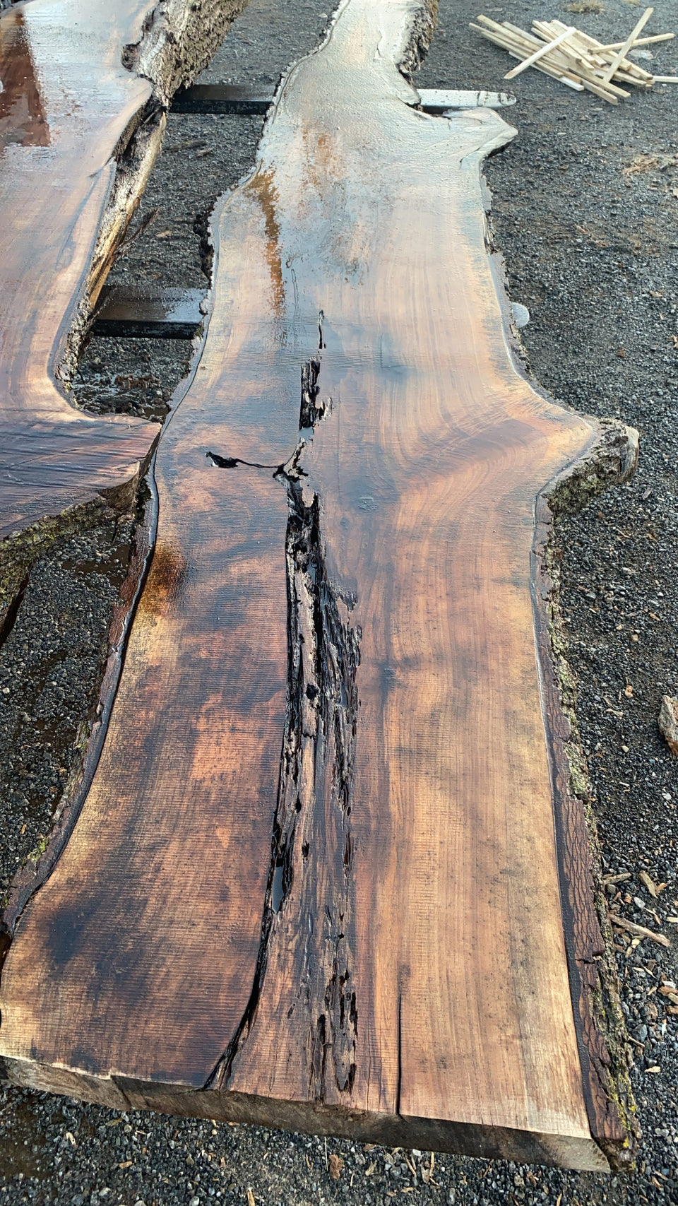 BLACK WALNUT SLAB