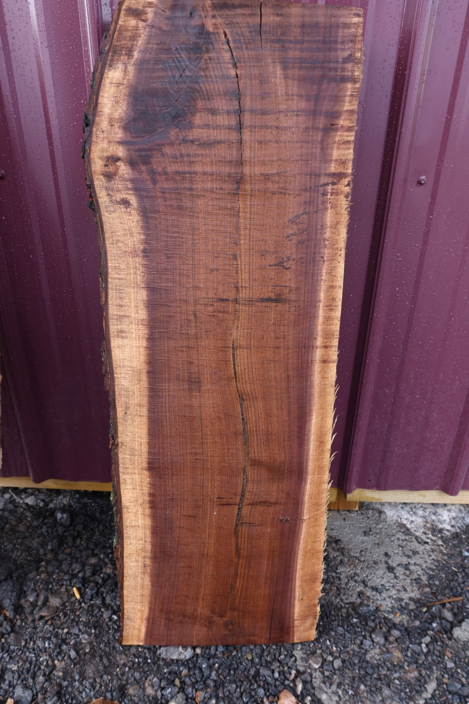 BLACK WALNUT