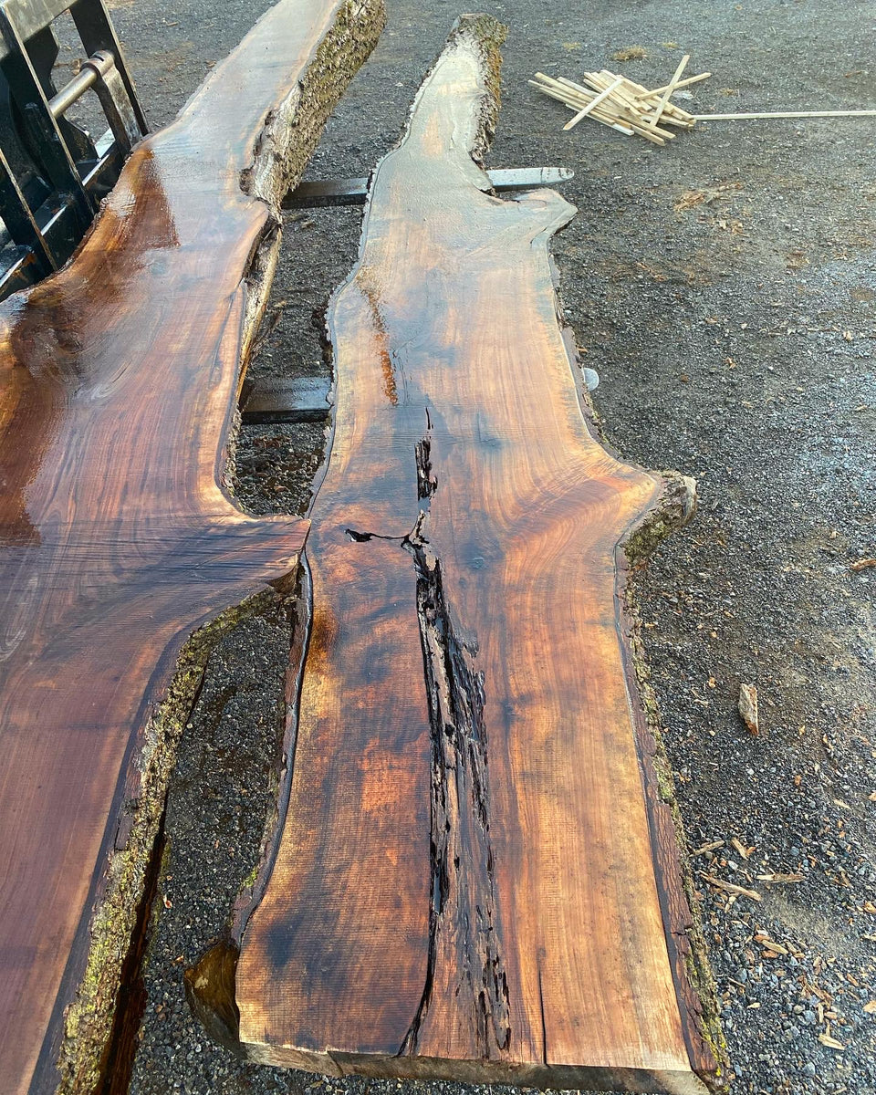 BLACK WALNUT SLAB